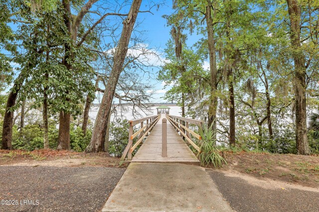 14 Bradford Ct, Beaufort, SC 29902 - photo 50