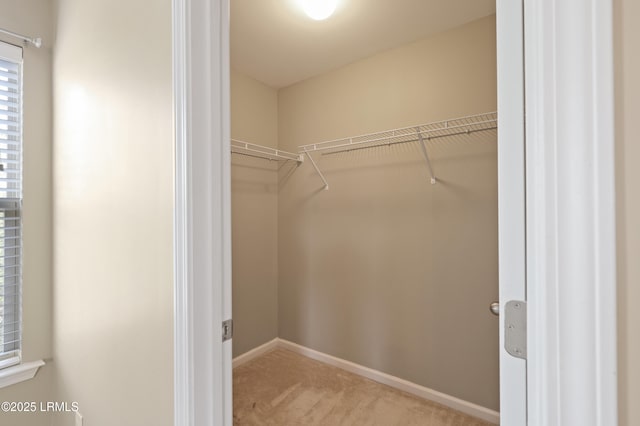 14 Bradford Ct, Beaufort, SC 29902 - photo 29