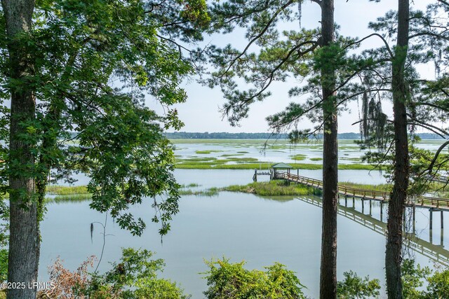 24 Presnell Cir, Beaufort, SC 29902 - photo 37