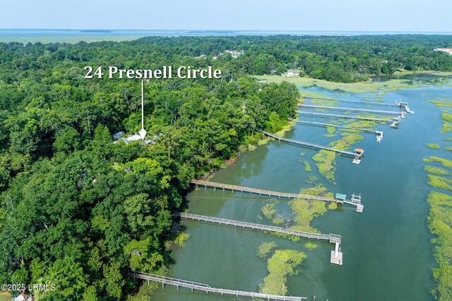 24 Presnell Cir, Beaufort, SC 29902 - photo 41