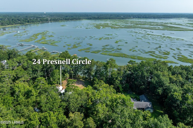 24 Presnell Cir, Beaufort, SC 29902 - photo 43
