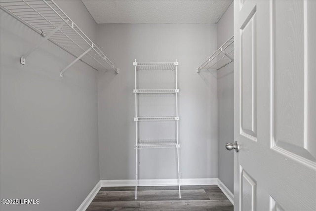 spacious closet featuring wood finished floors