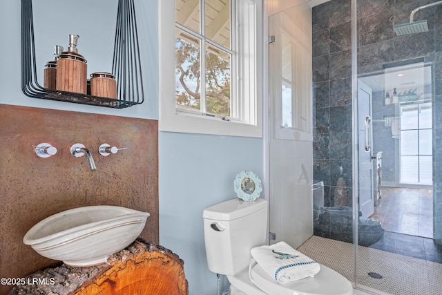 70 Brams Point Rd, Hilton Head Island, SC 29926 - bathroom with plenty of natural light, a shower stall, toilet, and a sink
