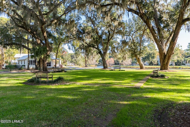 view of community with a lawn