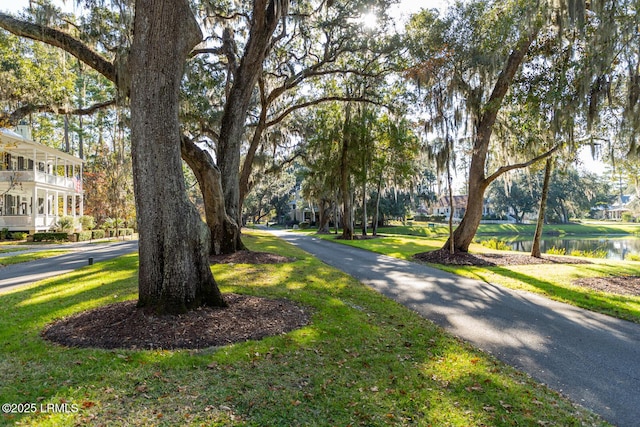 6 Abbey Row Unit 2A, Beaufort, SC 29906 - view of property's community with a water view and a lawn
