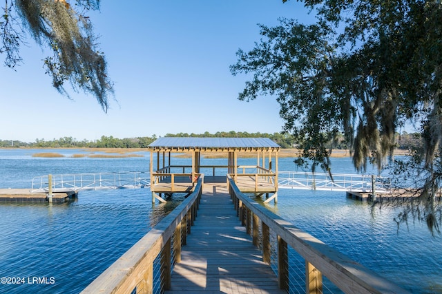 dock area with a water view