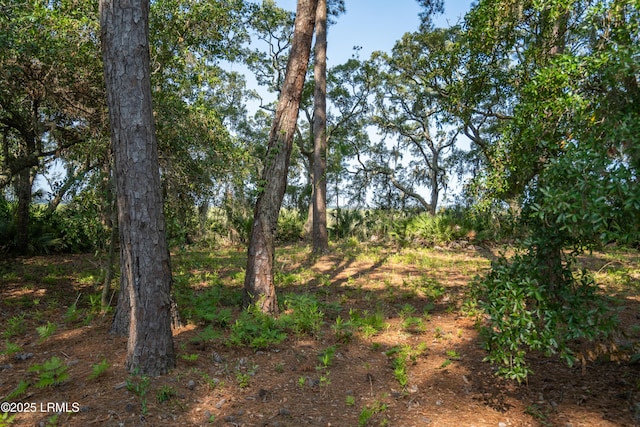 206 Willow Point Rd, Beaufort, SC 29906