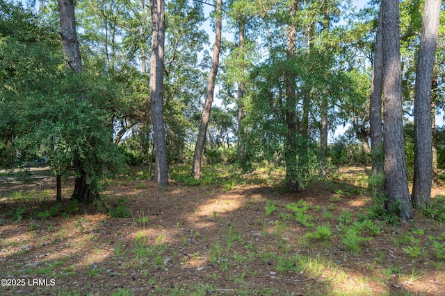 206 Willow Point Rd, Beaufort, SC 29906