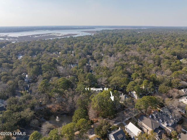 11 Hayek St, Beaufort, SC 29907 - photo 71