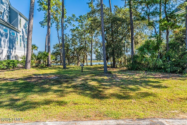 Listing photo 3 for 38 Lady Slipper Island Dr, Bluffton SC 29910