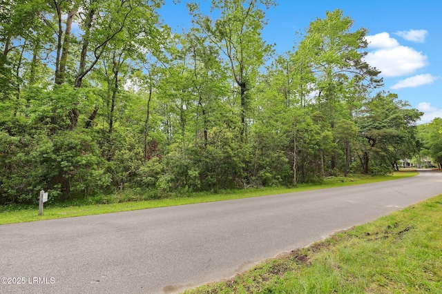 15 Ghost Pony Rd, Bluffton, SC 29910 - photo 2