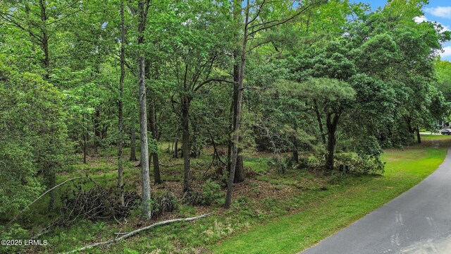 15 Ghost Pony Rd, Bluffton, SC 29910 - photo 5