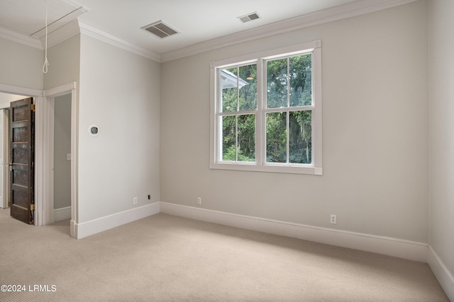 spare room with ornamental molding and carpet floors