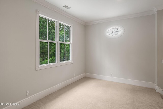 unfurnished room featuring crown molding and carpet flooring