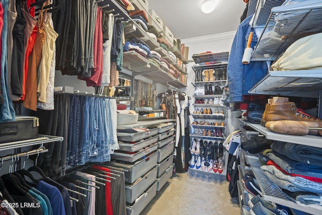 walk in closet featuring carpet floors