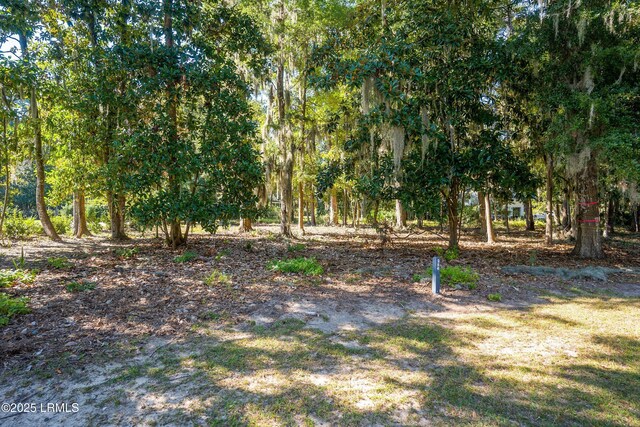 340 De La Gaye Pt, Beaufort, SC 29902 - photo 8