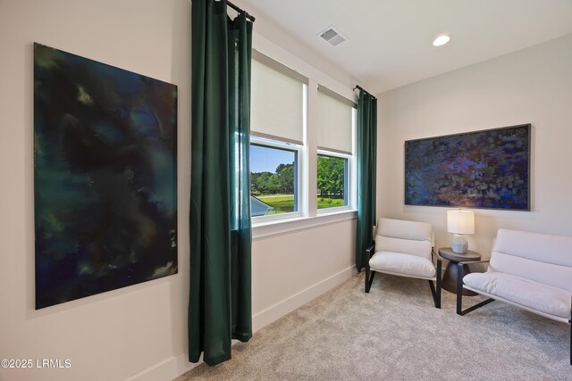 113 Laurel Oak Ave, Hardeeville, SC 29927 - photo 67
