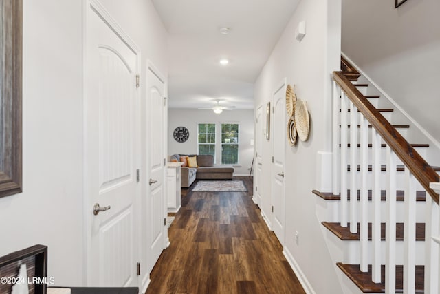 hallway featuring dark hardwood / wood-style flooring