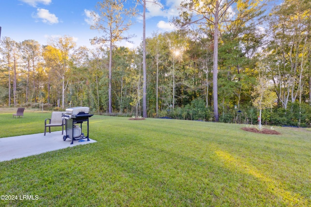 view of yard featuring a patio area