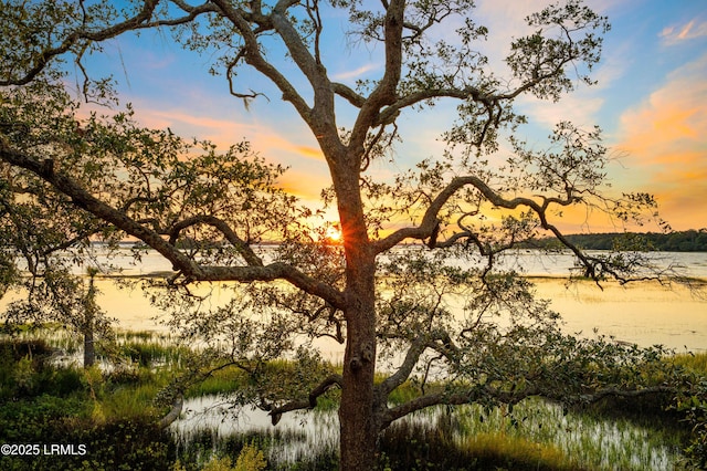 76 Old Oyster Factory Rd, Beaufort, SC 29906 - photo 2