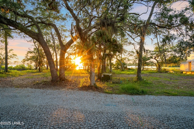 76 Old Oyster Factory Rd, Beaufort, SC 29906 - photo 3