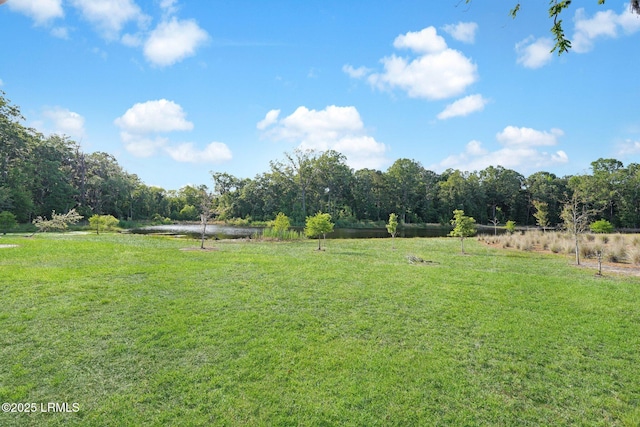 view of yard with a water view