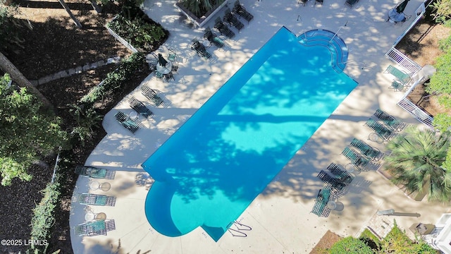 view of swimming pool with a patio