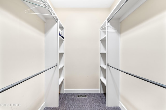 spacious closet with carpet flooring