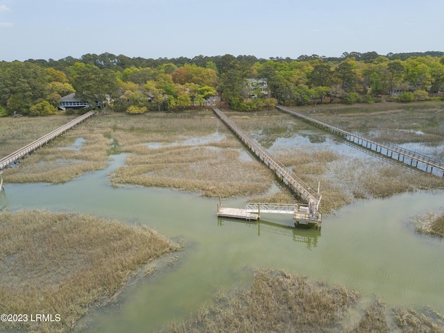 aerial view with a water view