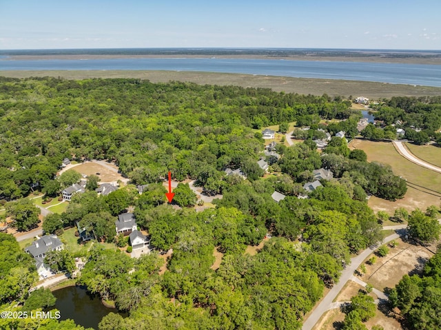 120 Coosaw Club Dr, Beaufort, SC 29907 - aerial view of a nearby body of water and a heavily wooded area