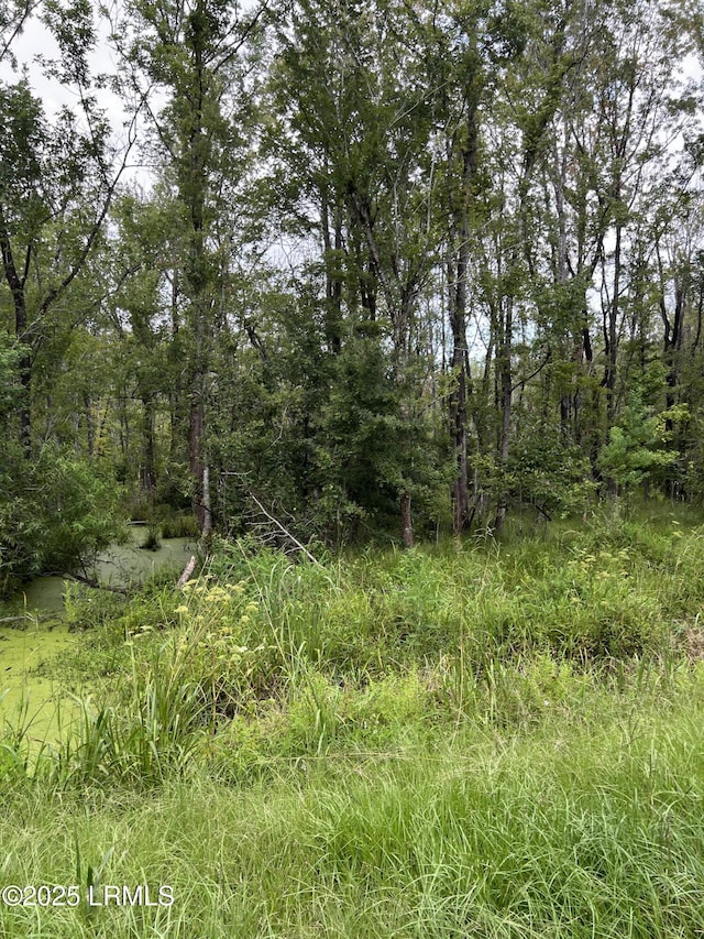 69 Jacob White Rd, Yemassee, SC 29945 - photo 4