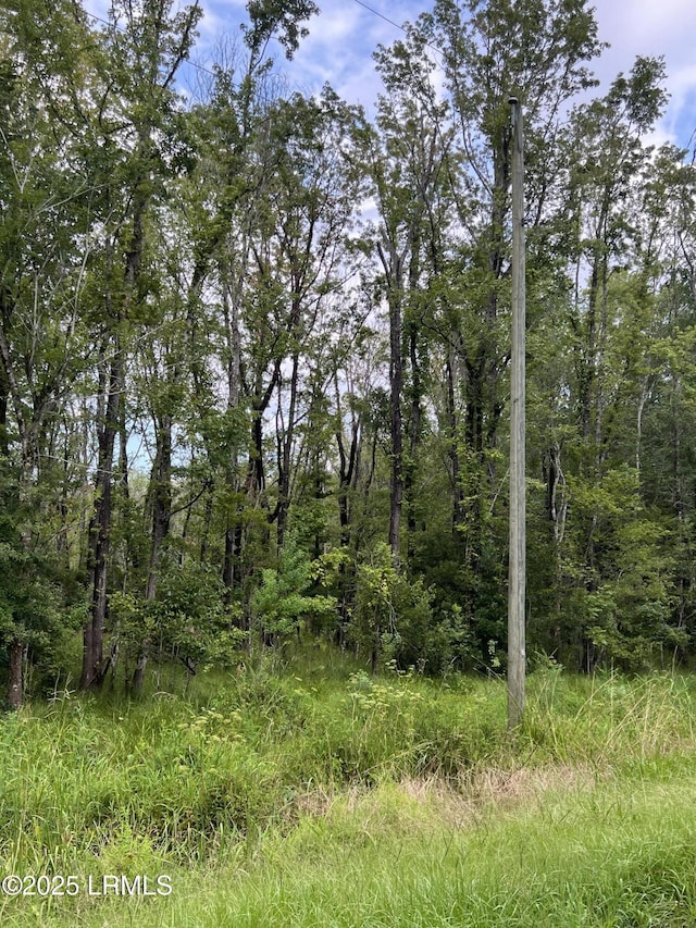 69 Jacob White Rd, Yemassee, SC 29945 - photo 3