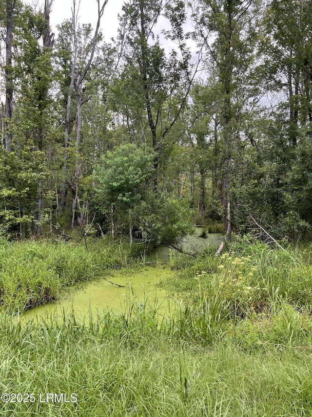 69 Jacob White Rd, Yemassee, SC 29945 - photo 5