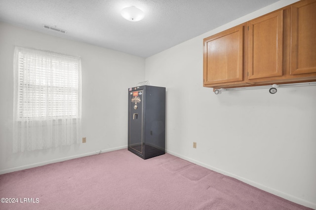 interior space with light colored carpet and a textured ceiling