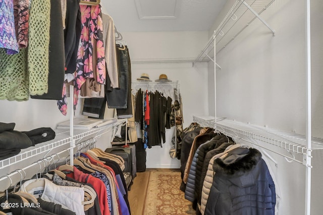 walk in closet with attic access and wood finished floors