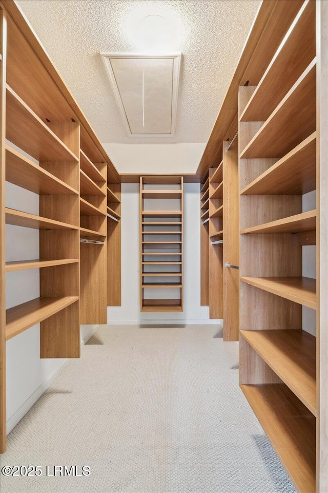 6 Pinyon Dr, Bluffton, SC 29909 - walk in closet featuring carpet