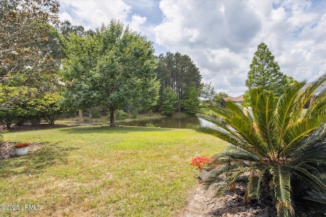 6 Pinyon Dr, Bluffton, SC 29909 - view of grassy yard with a water view