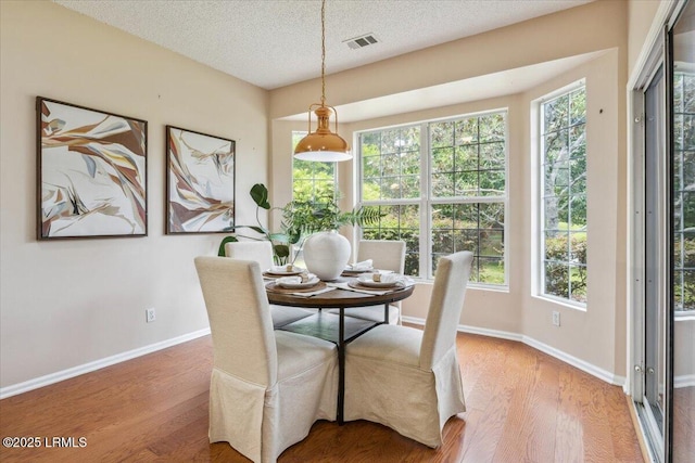 6 Pinyon Dr, Bluffton, SC 29909 - dining area with wood finished floors, baseboards, and a textured ceiling