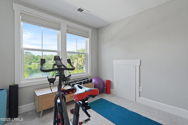 11 Basin Trail St, Beaufort, SC 29902 - exercise area with carpet floors and baseboards