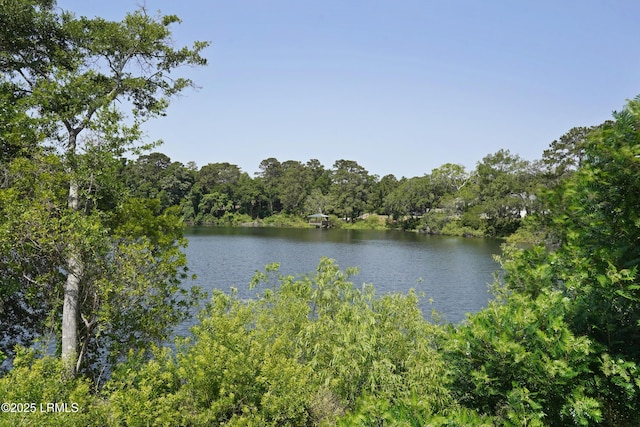 11 Basin Trail St, Beaufort, SC 29902 - water view featuring a forest