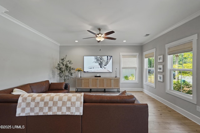 11 Basin Trail St, Beaufort, SC 29902 - photo 6