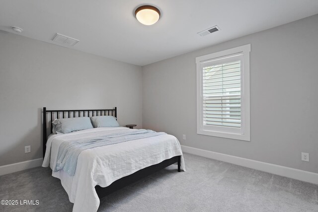 11 Basin Trail St, Beaufort, SC 29902 - view of unfinished attic