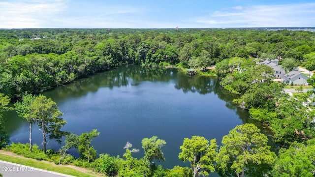 11 Basin Trail St, Beaufort, SC 29902 - drone / aerial view of a heavily wooded area and a nearby body of water