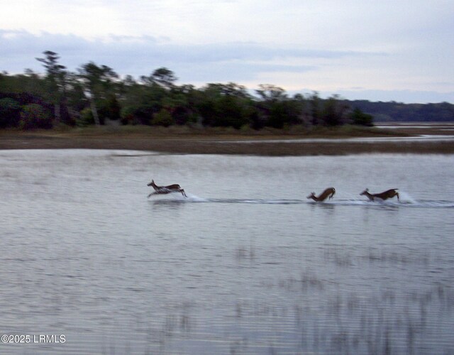 405 Distant Island Dr, Beaufort, SC 29907 - photo 35