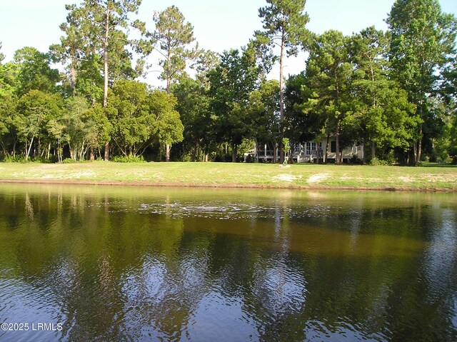 405 Distant Island Dr, Beaufort, SC 29907 - photo 7