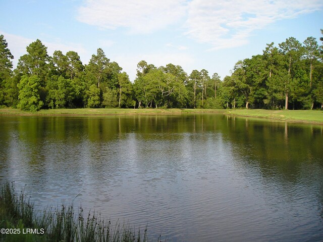 405 Distant Island Dr, Beaufort, SC 29907 - photo 4