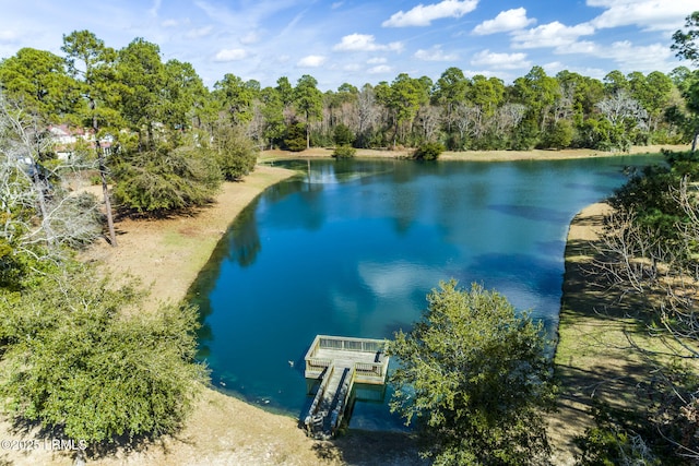 405 Distant Island Dr, Beaufort, SC 29907 - photo 12