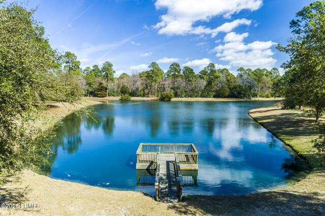 405 Distant Island Dr, Beaufort, SC 29907 - photo 6