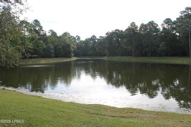 405 Distant Island Dr, Beaufort, SC 29907 - photo 13