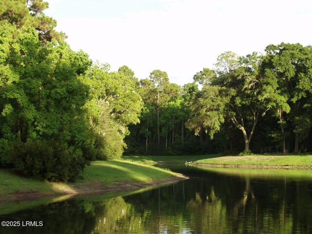 405 Distant Island Dr, Beaufort, SC 29907 - photo 8